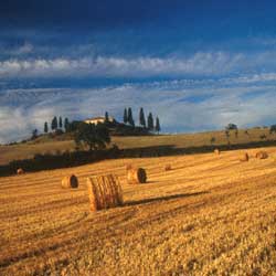 Landscape at dawn in Val d Orcia